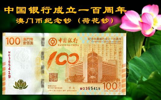 新澳門掛牌正版掛牌完整掛牌，探索與解析，澳門正版掛牌詳解，探索完整流程與解析