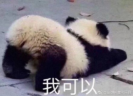 澳門精準(zhǔn)四不像最新正版，揭秘與探索，澳門精準(zhǔn)四不像揭秘與探索最新正版資訊