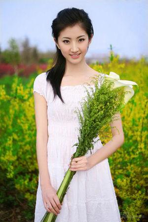 新澳門生肖走勢圖精準(zhǔn)版，解讀與SEO策略，新澳門生肖走勢圖精準(zhǔn)解讀與SEO策略揭秘