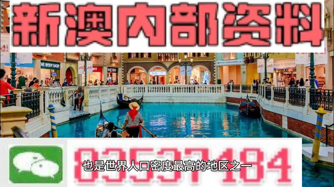 新澳最精準(zhǔn)龍門客棧，探索獨特魅力的旅游住宿體驗，新澳龍門客棧，獨特魅力的旅游住宿體驗探索