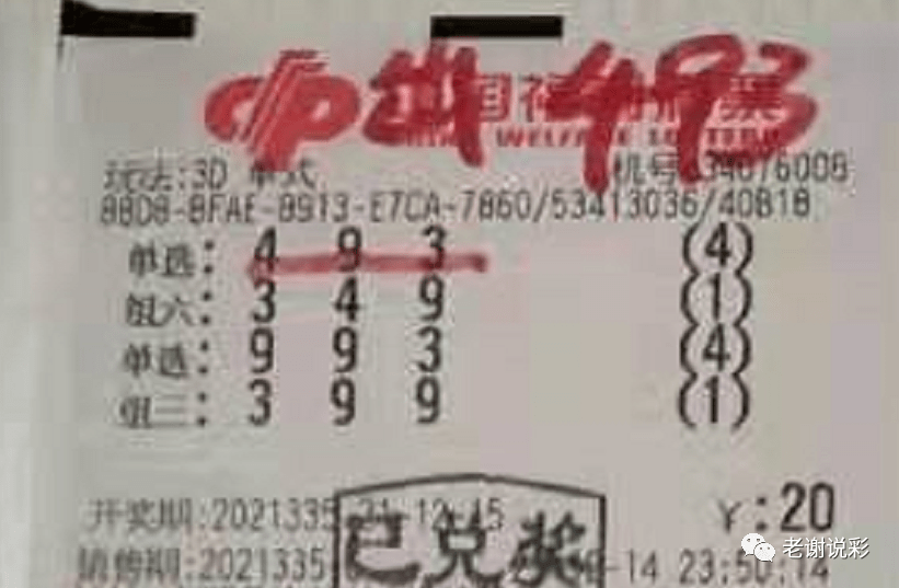 新奧門彩天天開獎資料一網(wǎng)羅萬象，揭秘彩票奧秘，揭秘彩票奧秘，新奧門彩天天開獎資料一網(wǎng)羅萬象