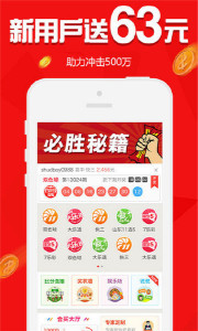王中王欲錢請猜一肖，揭秘生肖之謎與SEO策略，揭秘生肖之謎與SEO策略，王中王欲錢請猜一肖的奧秘