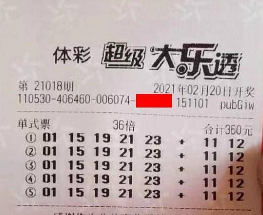 王中王018期指一生肖，揭秘背后的奧秘與意義，揭秘生肖奧秘，王中王生肖背后的意義與秘密