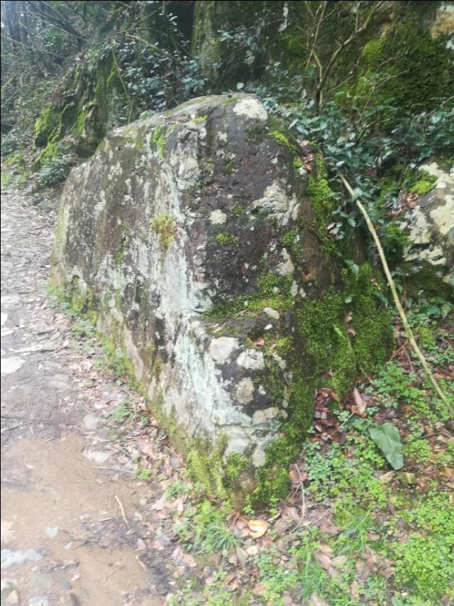 揭秘四不像劉伯溫一肖圖——探尋背后的神秘故事與SEO奧秘，揭秘四不像劉伯溫一肖圖背后的神秘故事與SEO奧秘探索