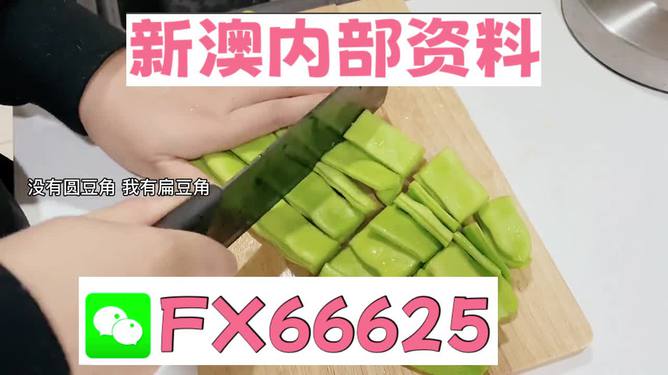 新澳精選資料免費提供，探索優(yōu)質資源的海洋，新澳精選資料免費探索，優(yōu)質資源海洋的開啟