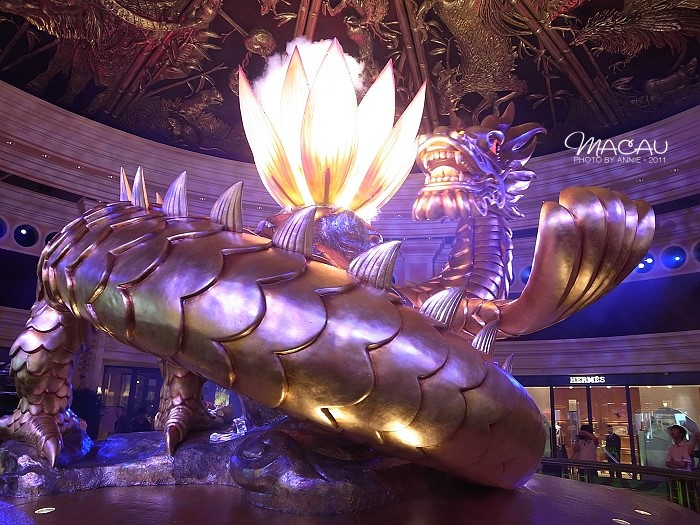 澳門無錯(cuò)七尾，探索與解析，澳門無錯(cuò)七尾，深度探索與解析