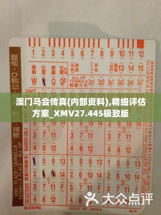 馬會傳真正版，探索正版馬會文化的魅力與價值，正版馬會文化的魅力與價值探索