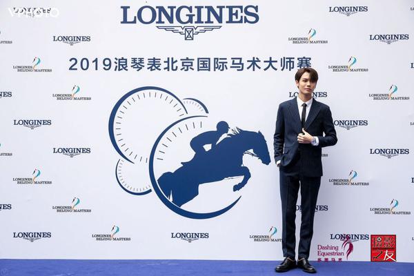 王中王一肖精準，深度解析與策略探討，王中王一肖精準解析與策略深度探討
