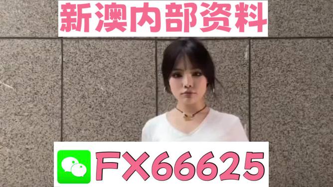 澳門正版資料大全完整版，探索與揭秘2025年澳門正版資料的世界，澳門正版資料大全揭秘，探索未來(lái)至2025年的奧秘世界
