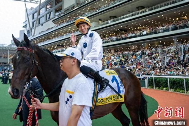 香港特馬王資料免費(fèi)公開，揭秘背后的秘密，香港特馬王資料揭秘，免費(fèi)公開背后的秘密