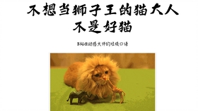 王中王013期指一生肖——探尋背后的秘密與奧秘，王中王013期生肖揭秘，探尋背后的秘密與奧秘之旅