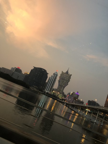 澳門今晚必開一肖一特，深度解析與預測，澳門今晚生肖特碼深度解析與預測，一肖一特必開趨勢探討