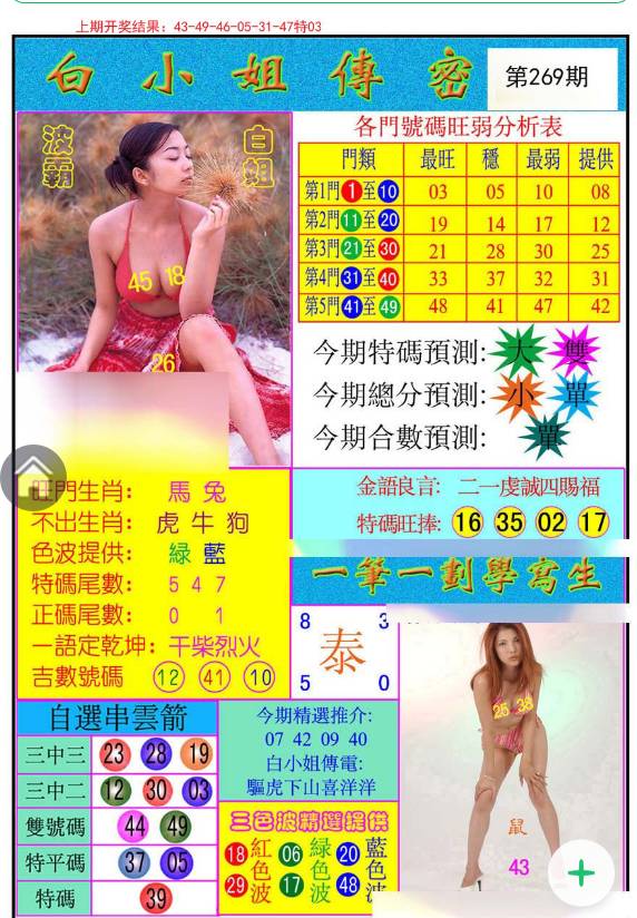 揭秘白小姐與王中王平持一肖的神秘面紗，白小姐與王中王，揭秘神秘生肖預(yù)測(cè)面紗