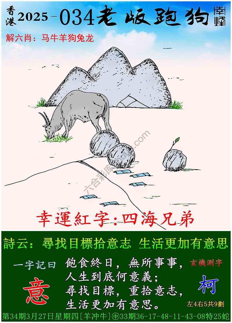 全新升級！探索7777788888新版跑狗資料，全新升級！探索跑狗資料7777788888新版揭秘