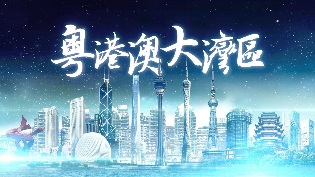 2025年香港正版免費資料全面解析，香港正版免費資料全面解析（2025版）