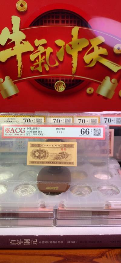 王中王廣東一肖，探尋背后的故事與奧秘，王中王廣東一肖，背后的故事與奧秘探尋