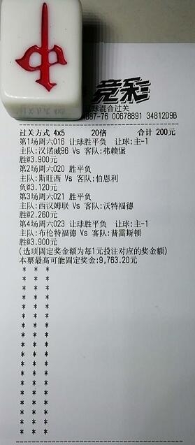 揭秘買一肖中獎(jiǎng)的賠率與風(fēng)險(xiǎn)，你真的準(zhǔn)備好了嗎？，揭秘買一肖中獎(jiǎng)背后的賠率與風(fēng)險(xiǎn)，你真的做好準(zhǔn)備了嗎？