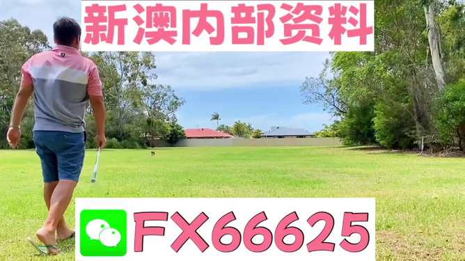 王中王兩肖一碼，揭秘背后的奧秘，王中王兩肖一碼揭秘，背后的秘密與奧秘