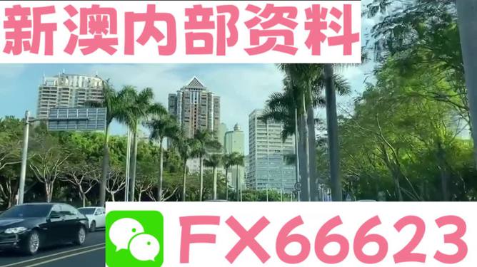 新澳精準(zhǔn)資料免費(fèi)提供，探索第221期的奧秘與價(jià)值，新澳精準(zhǔn)資料揭秘第221期奧秘與價(jià)值