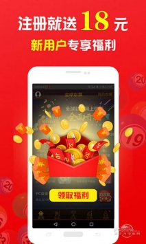王中王一肖中打一，深度解析一種獨特的文化現(xiàn)象，王中王一肖中打一，獨特文化現(xiàn)象的深度探究