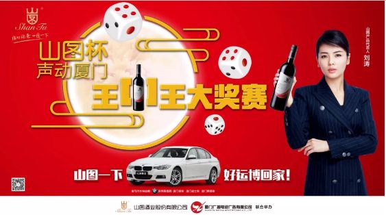 揭秘王中王背后的故事，從肖中的視角看其在SEO領(lǐng)域的輝煌成就，肖中視角下的王中王，SEO領(lǐng)域的輝煌成就揭秘