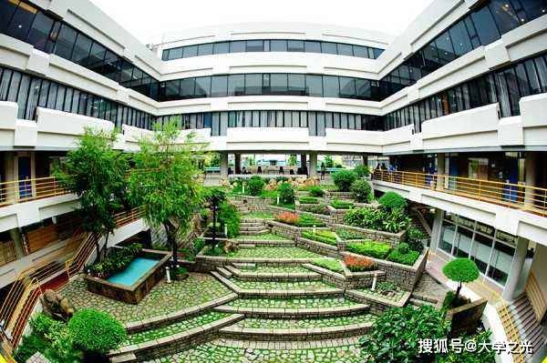 新澳芳草，最精準(zhǔn)的探尋與體驗(yàn)，新澳芳草，精準(zhǔn)探尋與獨(dú)特體驗(yàn)