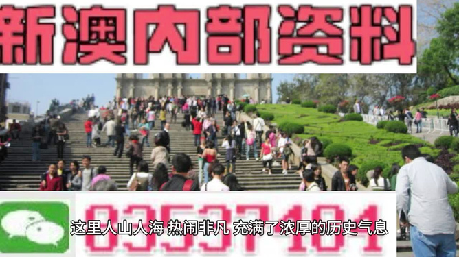澳門最精準(zhǔn)免費(fèi)資料大全旅游團(tuán)，探索澳門之旅的完美選擇，澳門最精準(zhǔn)免費(fèi)資料大全旅游團(tuán)，探索澳門之旅的不二之選