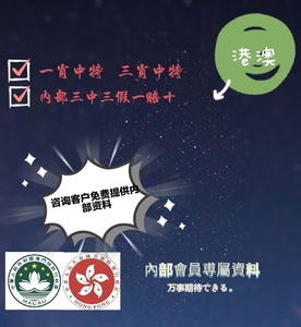 揭秘香港王中王，探尋肖中特背后的秘密，揭秘香港王中王背后的秘密與肖中特真相探索