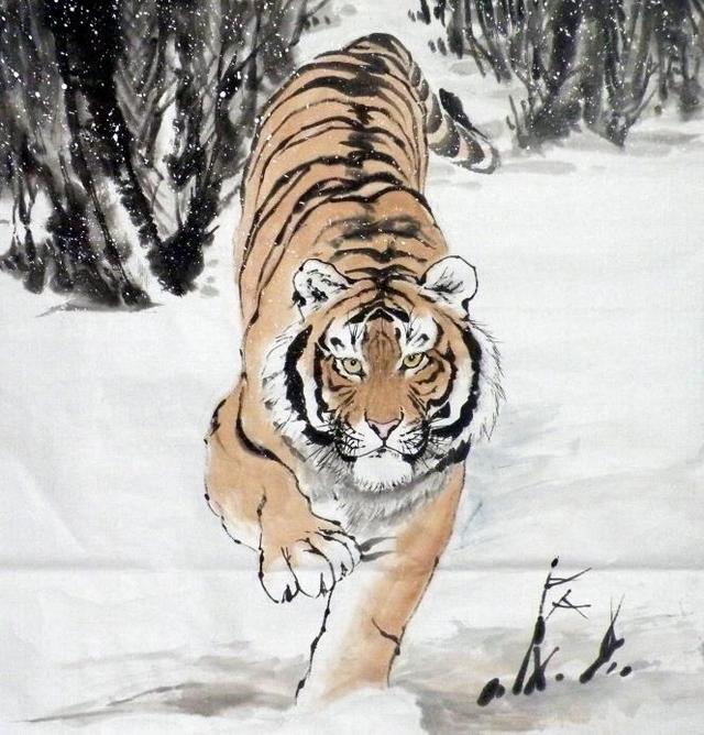 猛虎下山王中王，揭秘一生肖的神秘魅力，揭秘生肖之王——猛虎下山之神秘魅力
