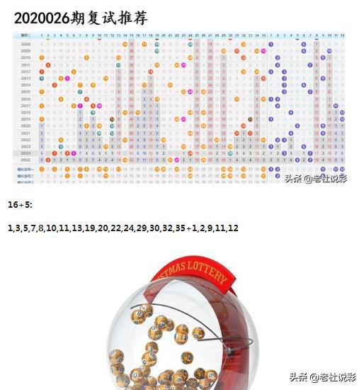 王中王026期指一生肖，深度解讀與SEO優(yōu)化策略，王中王026期生肖深度解讀與SEO優(yōu)化策略全解析
