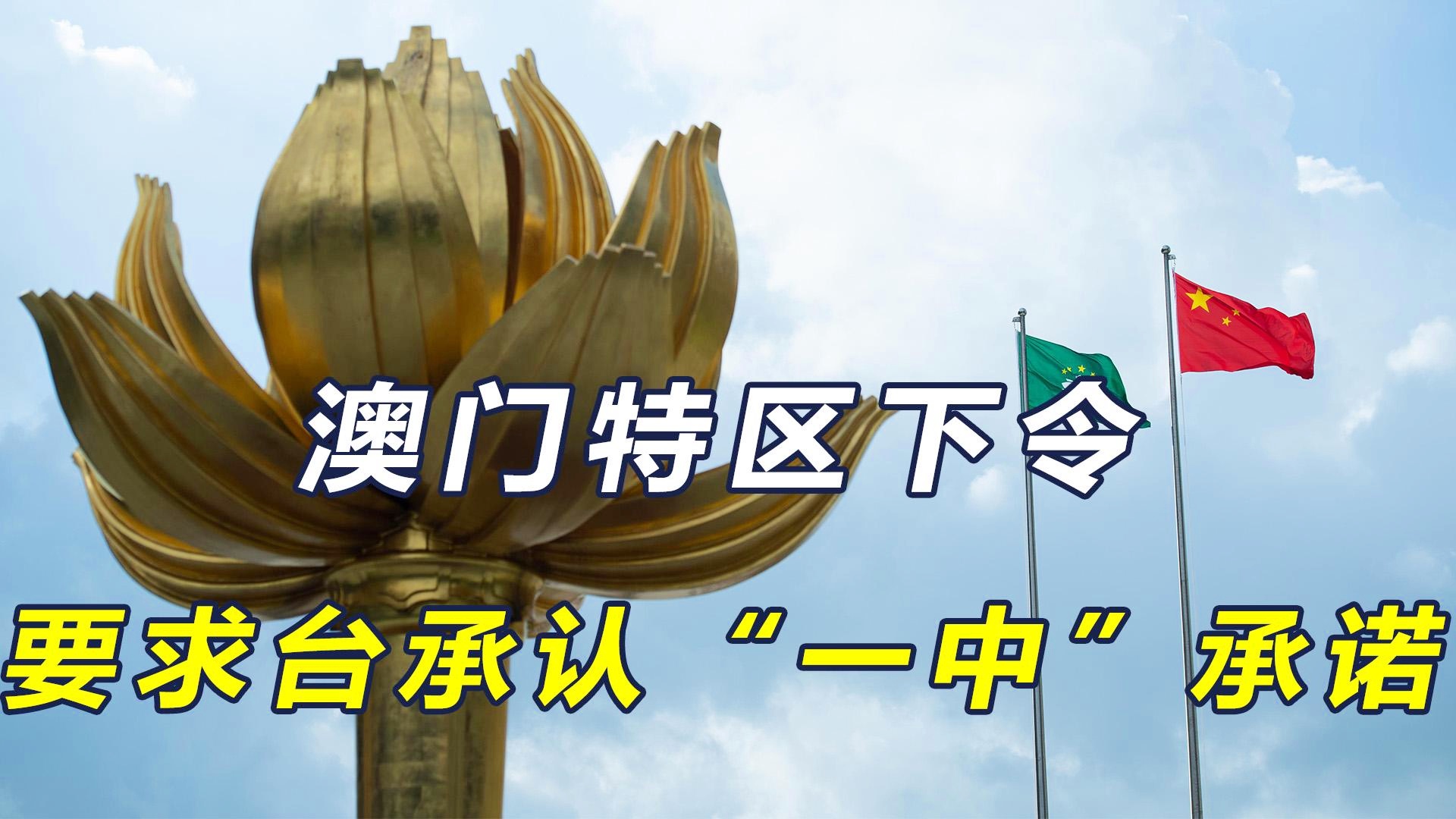 澳門一碼一肖一特一中今晚預(yù)測與探索，澳門今晚一碼一肖一特一中預(yù)測與揭秘