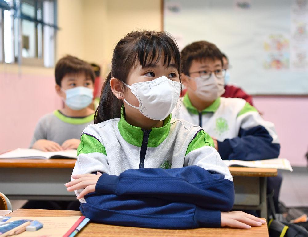 香港今晚必開一肖，深度解析與預測，香港今晚生肖預測，深度解析與獨家預測