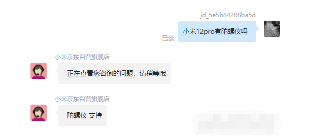 王中王一肖碼，探索關(guān)鍵詞背后的奧秘，王中王一肖碼，揭秘關(guān)鍵詞背后的奧秘