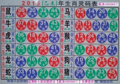 揭秘2025十二生肖與數(shù)字彩票的神奇聯(lián)系——49碼表全解析，揭秘十二生肖與數(shù)字彩票的神秘聯(lián)系，2025年49碼表深度解析