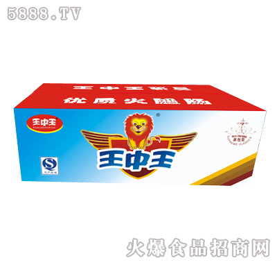 王中王一肖特圖，揭秘背后的故事與魅力，揭秘王中王一肖特圖的背后故事與魅力