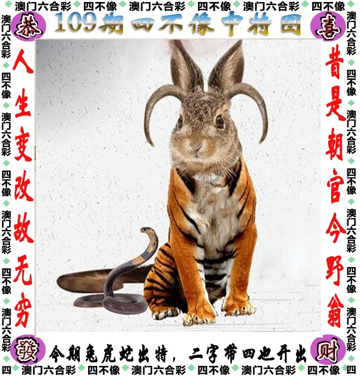 四不像王中王資料一肖，深度解析與探索，四不像王中王資料一肖，深度解析與探索揭秘