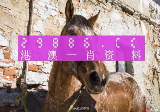 王中王資料一門肖中，深度解析與探索，王中王資料一門肖詳解，深度解析與探索