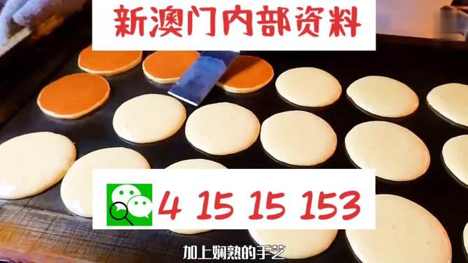新澳門碼精準資料，揭秘與探索，揭秘新澳門碼精準資料探索之旅