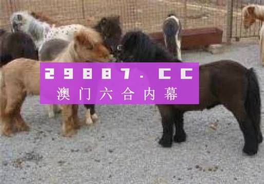 王中王平特一肖四不像圖，深度解析與SEO優(yōu)化策略，王中王平特一肖四不像圖，深度解析與SEO優(yōu)化策略探討