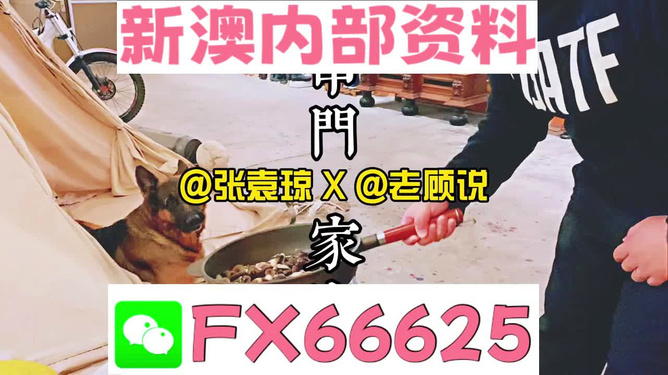 新澳門精準(zhǔn)資料大全，管家婆料解析與探索，澳門精準(zhǔn)資料大全，管家婆料解析與深度探索