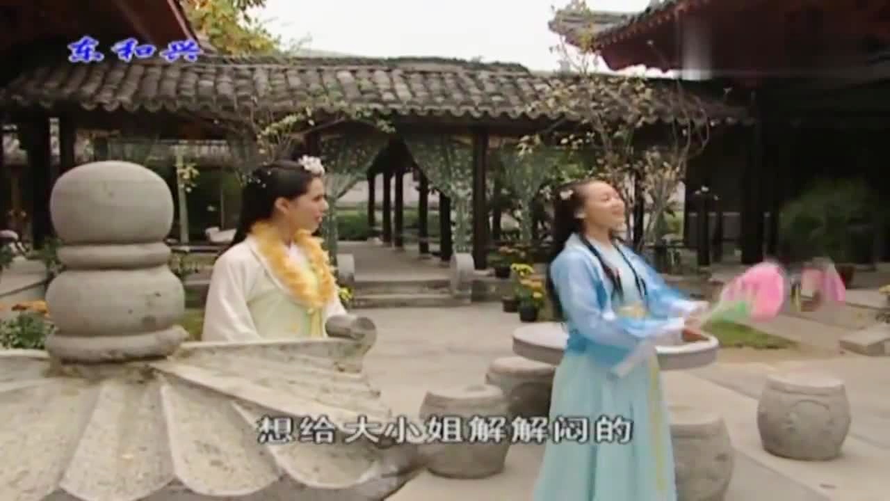 劉伯溫白小姐一肖期期準(zhǔn)，神秘預(yù)測背后的真相，劉伯溫白小姐生肖預(yù)測揭秘，神秘預(yù)測背后的真相