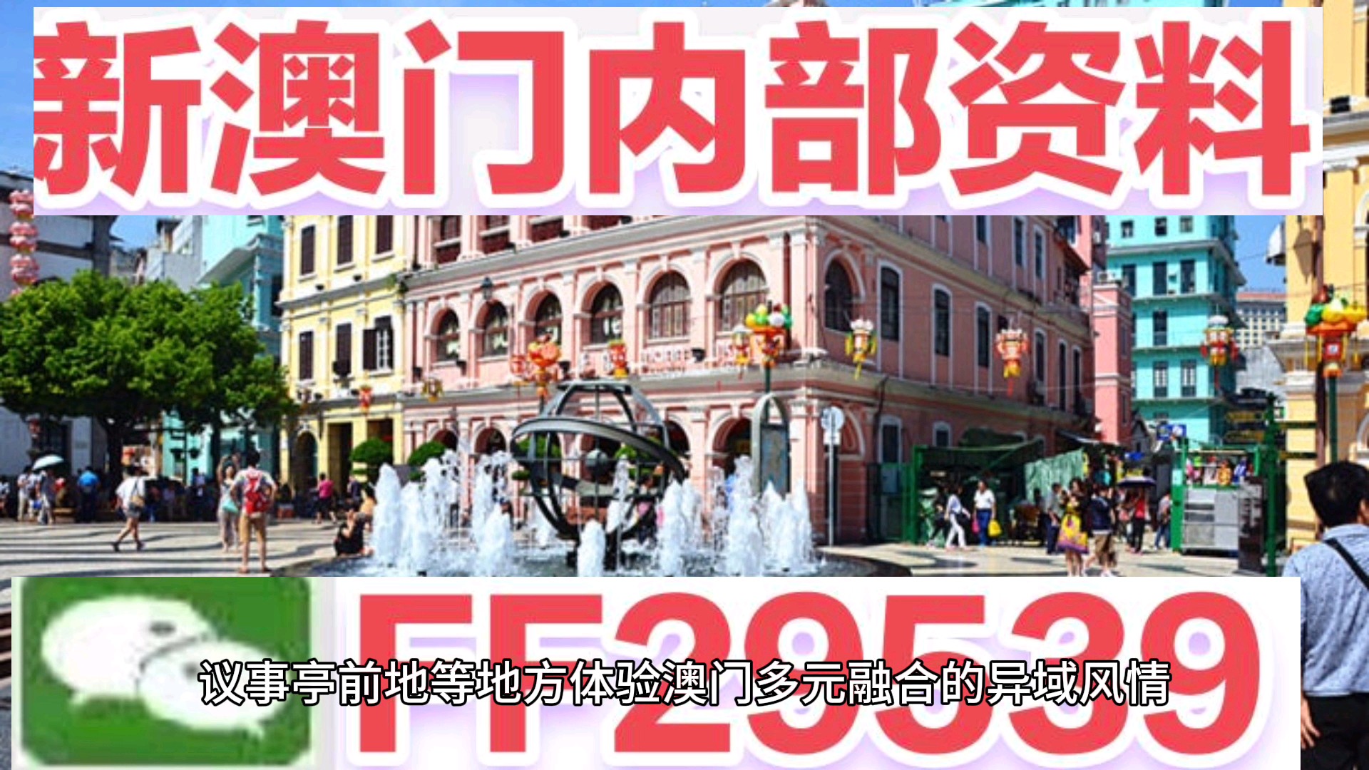 澳門(mén)今晚必開(kāi)一肖一特，揭秘生肖彩票的魅力與策略，澳門(mén)生肖彩票揭秘，必開(kāi)一肖一特的魅力與策略