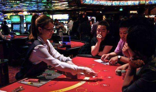 澳門金牛王中王一肖，探索背后的神秘與魅力，澳門金牛王中王一肖，神秘魅力背后的探索