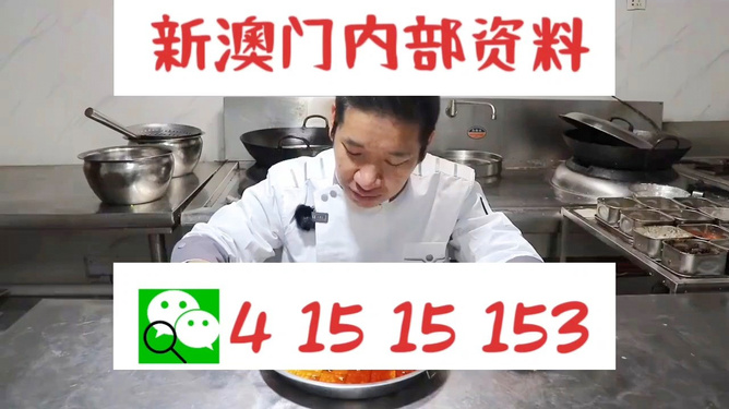 管家婆一肖資料大全，深度解析與探索，管家婆一肖資料深度解析與探索大全