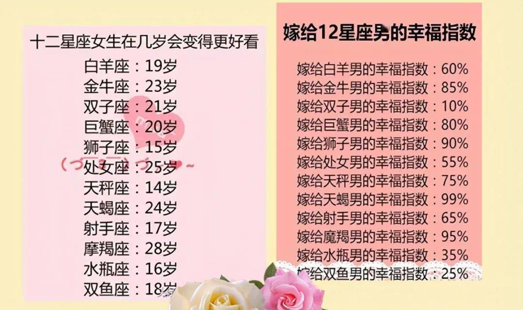 王中王十二生肖所屬之肖解析，王中王十二生肖解析揭秘