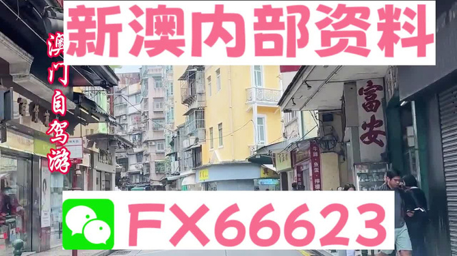 新澳精準(zhǔn)資料免費(fèi)提供，探索與實(shí)踐的指南，新澳精準(zhǔn)資料免費(fèi)分享，探索與實(shí)踐的導(dǎo)航指南