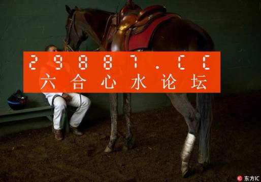 一肖一馬王中王一馬中特，深度解析與SEO優(yōu)化策略，一肖一馬王中王深度解析與SEO優(yōu)化策略探討