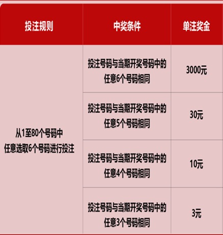 新澳門六開彩天天免費(fèi)開獎(jiǎng)結(jié)果，揭秘彩票背后的秘密，揭秘新澳門六開彩背后的秘密，天天免費(fèi)開獎(jiǎng)結(jié)果一網(wǎng)打盡