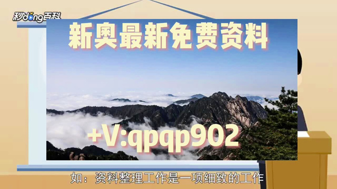 新奧49正版資料，全面解析與SEO優(yōu)化策略，新奧49正版資料詳解與SEO優(yōu)化策略探討