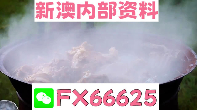 新澳全年免費(fèi)資料大全，一站式獲取優(yōu)質(zhì)資源指南，新澳全年優(yōu)質(zhì)資源免費(fèi)獲取指南